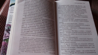 Тван Тан: Сад вечерних туманов