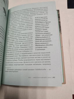 Адриане Лохнер: Лес. Как устроена лесная экосистема