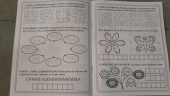 Прописи. Игры с буквами, слогами и словами. Для детей от 5 лет. Читай, играй, мышление развивай
