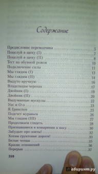 Даниэль Глаттауэр: У всех свои муравьи