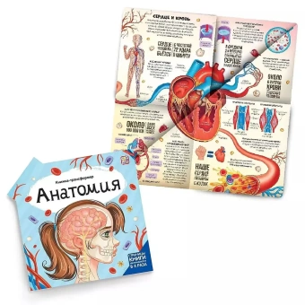 Савич Е., Бабенко У., Макрушина С., Ларичкина О.: Анатомия: книжка-трансформер