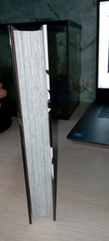 Кохэй Хорикоси: Моя геройская академия. Книга 8. Сражаться с судьбой. Красный Бунтарь