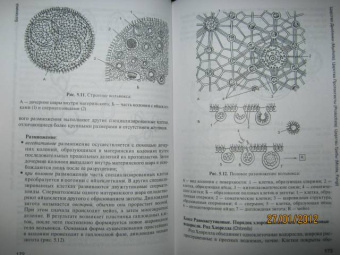 Зайчикова, Барабанов: Ботаника. Учебник
