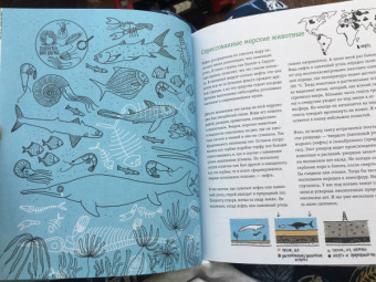 Хорст тер: Пальмы на Северном полюсе. Большой рассказ об изменении климата