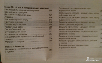 Шейла Эллисон: 365 лучших игр для развития вашего маленького гения