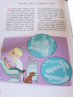 Юлия Смирнова: Как менялся человек