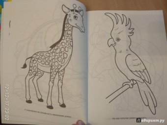 Большая раскраска "Животные"