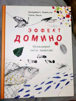 Джанумберто Аччинелли: Эффект домино. Невидимые нити природы