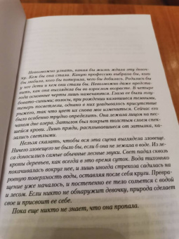 Камилла Лэкберг: Ведьма