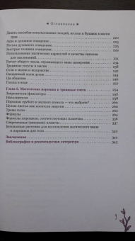 Сильвер Рэйвенвульф: Час ведьмы. Заклинания, порошки, формулы и эффективные техники ведовства