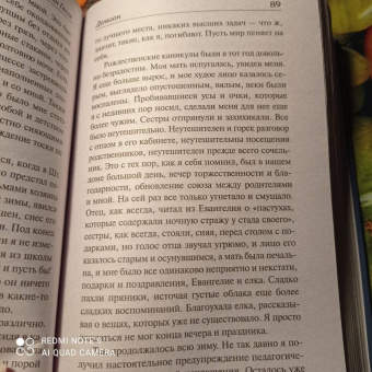 Герман Гессе: Демиан. Гертруда