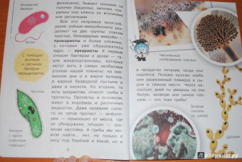 Анастасия Мещерякова: Почему мы болеем?