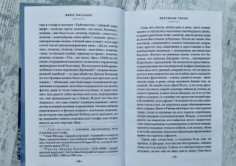 Винс Пассаро: Безумная тоска