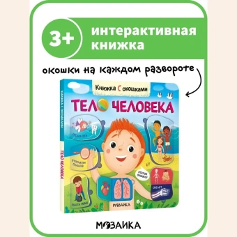 Мозалева Ольга: Книжки с окошками. Тело человека