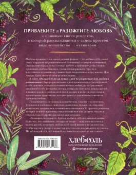 Волшебство на кухне. Гайд по рецептам для любви и романтики: Дон Хант