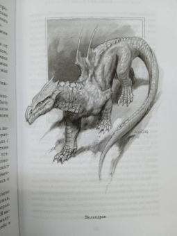 Мари Бреннан: Естественная история драконов