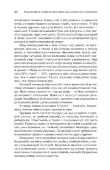 Тихонова, Мотовилов, Мотовилов: Товароведение и экспертиза мяса птицы, яиц и продуктов их переработки. Качество и безопасность