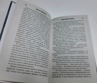 Данил Корецкий: Тени черного волка