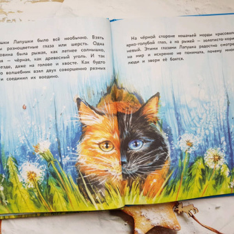 Анна Федулова: Вместе не страшно