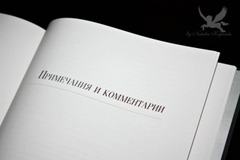 Александр Пушкин: Евгений Онегин
