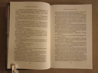 Брендон Сандерсон: Устремленная в небо