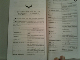 Сири Петтерсен: Поток