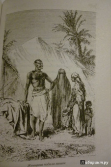 Рид Майн: Пиратский остров. Молодые невольники