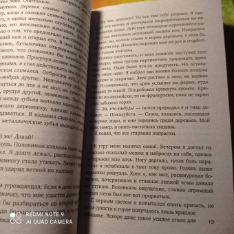 Саймон Бекетт: Множественные ушибы