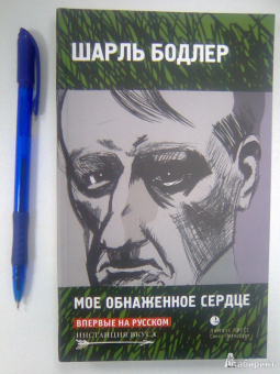 Шарль Бодлер: Мое обнаженное сердце:  Статьи, эссе