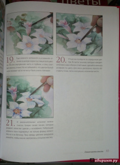 Либралато, Лаптева: Рисуем цветы. Пошаговый самоучитель по рисованию акварелью