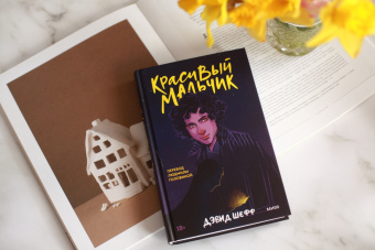 Дэвид Шефф: Красивый мальчик. Правдивая история отца, который боролся за сына