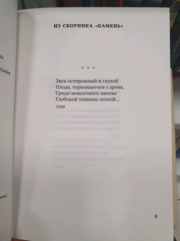 Осип Мандельштам: Сумерки свободы