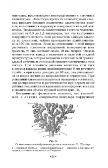 Леонид Работнов: Основы физиологии и патологии голоса певцов. Учебное пособие для СПО