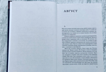 Фернандо Арамбуру: Стрижи