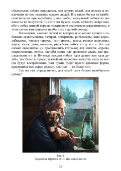 Владимир Евтухович: Содержание собаки в городе. Уход, воспитание и дрессировка. Учебное пособие для СПО
