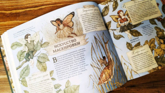 Секретная жизнь фей