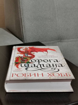 Робин Хобб: Сын солдата. Книга 1. Дорога шамана