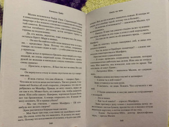Камилла Гребе: Охота на тень