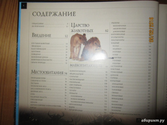 Животные