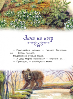Наталия Немцова: Новогодние сказки с волшебными картинками