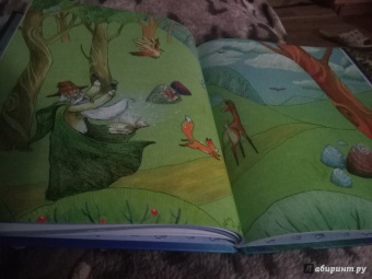 Галина Гордиенко: Как на землю пришли сны