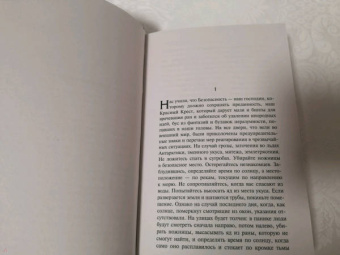 Дженет Фрейм: Лица в воде