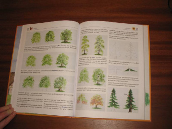 Уте Людвиг-Кайзер: Мои первые уроки рисования. Акварель