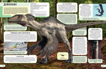 Энн Руни: Динозавры. Энциклопедия