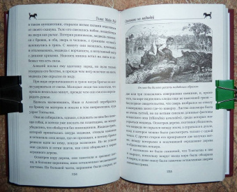 Рид Майн: Письмо и пуля