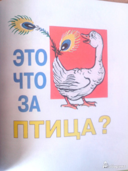Владимир Сутеев: Загадочные истории