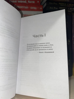 Рена Баррон: Королевство душ