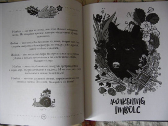 Полина Лопухина: Witch Journal. Ведьмовские практики круглый год