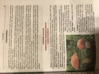 Иван Куреннов: Грибы. Полная иллюстрированная энциклопедия