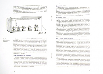 Татьяна Смирнова: Узамбарская фиалка. Как "приручить" чудо